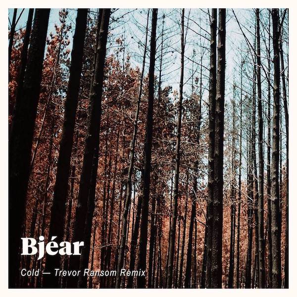Bjear - Cold (Trevor Ransom Remix)